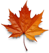 Budget Maple - Canada | Logo